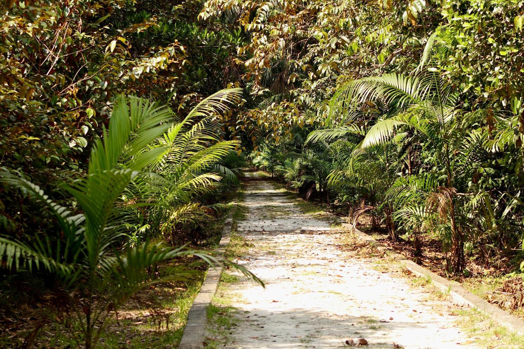 Pousada Paraiso Do Calango Azul Presidente Figueiredo Ngoại thất bức ảnh